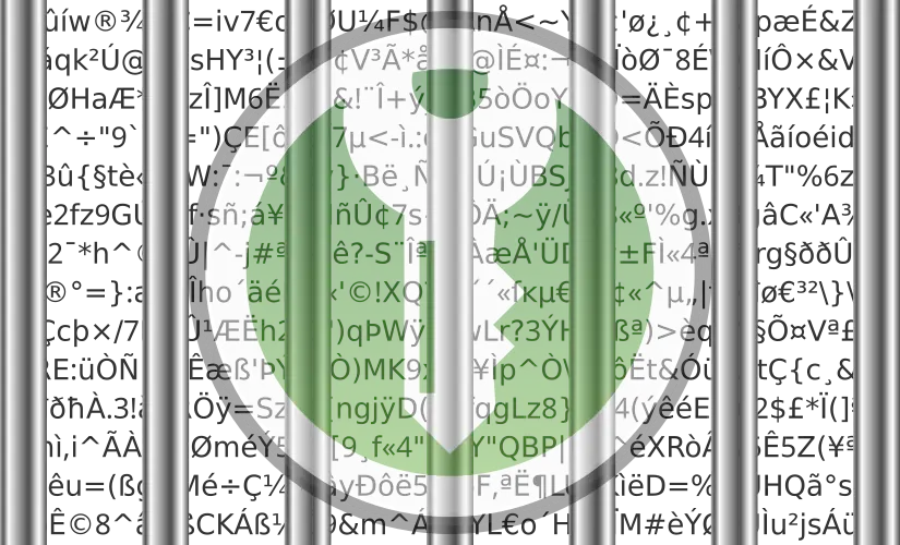 Angriff auf das CMS dieser Website